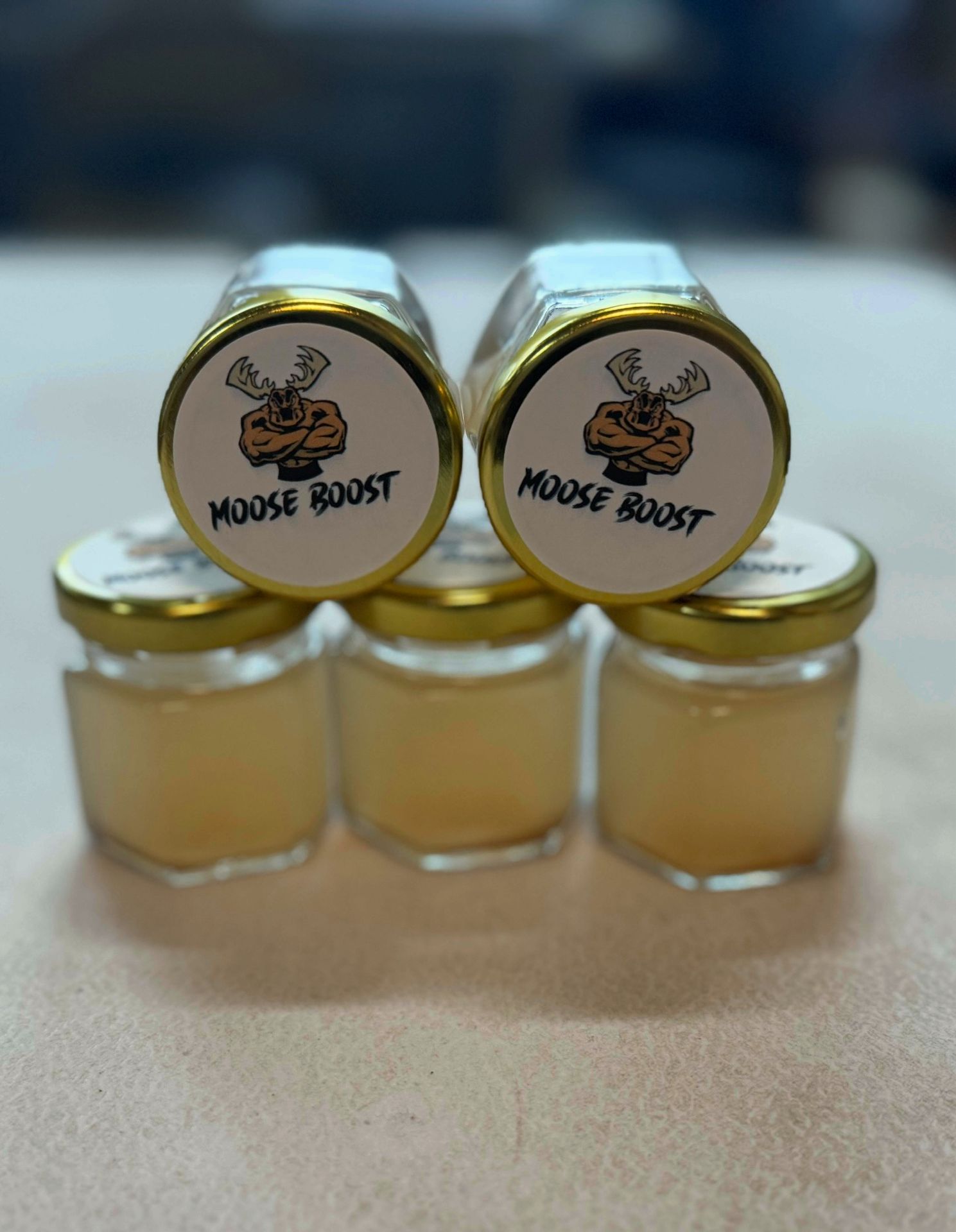 Moose Boost all-natural energy elixir — hexagonal glass jars with gold lids carrying the Moose Boost antler mark